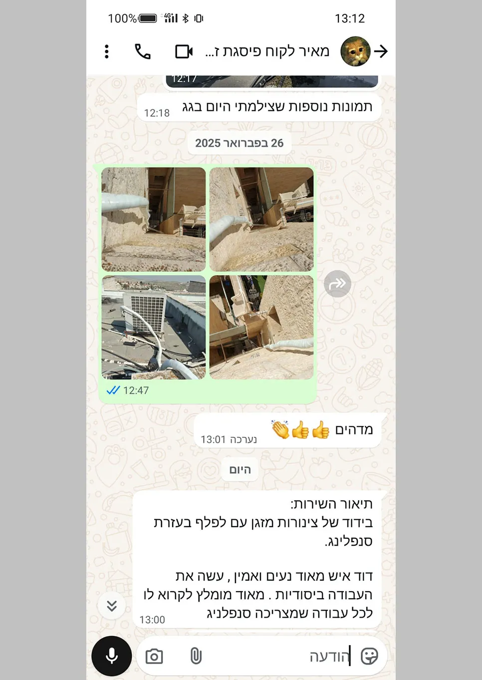 מאיר